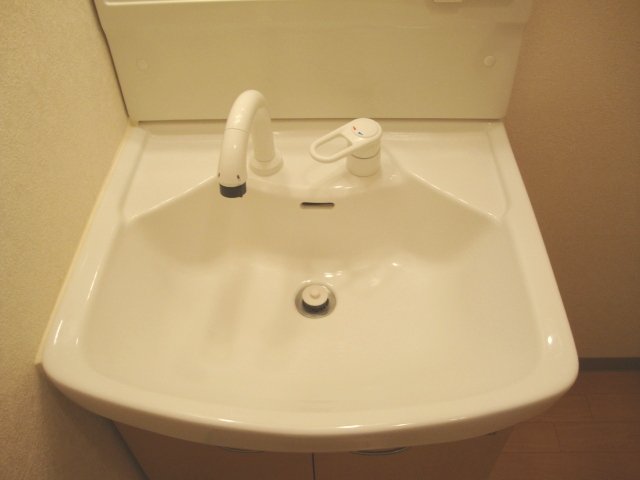 イコール・アルパイン103号室 洗面