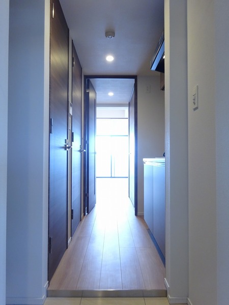 ラフィスタ蒲田南Ⅱ605号室 その他