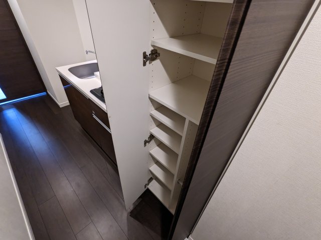 ケーディーエックスレジデンス豊洲432号室 収納