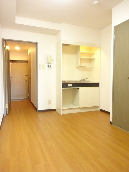 ライオンズマンション小岩第5228号室 その他