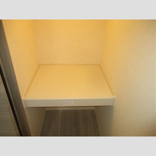 オーガスタハイツ305号室 ウォークインクローゼット