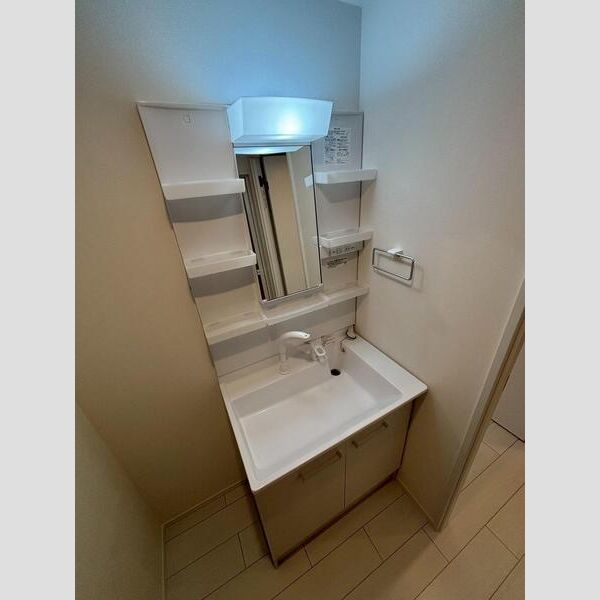 MAXIV CITY文京小石川201号室 洗面