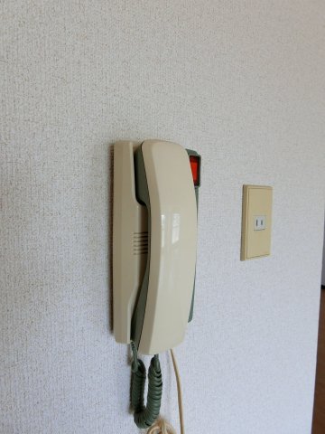 グリーンパーク田園５号0203号室 セキュリティ