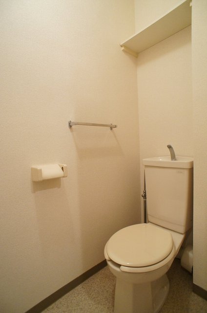 Ｂｉｇ７0203号室 トイレ