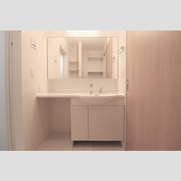 ロイジェントパークス レイクタウン Ⅲ　H108号室 洗髪洗面化粧台