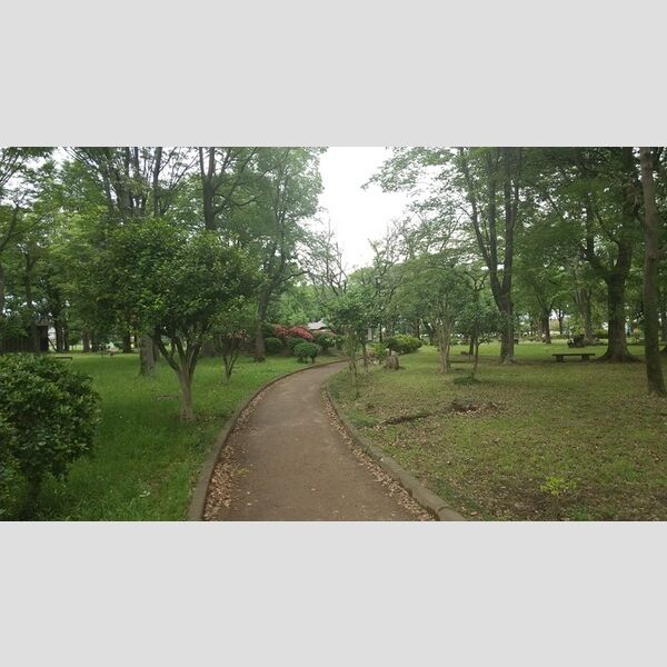 サンパティーク わかぐさ公園