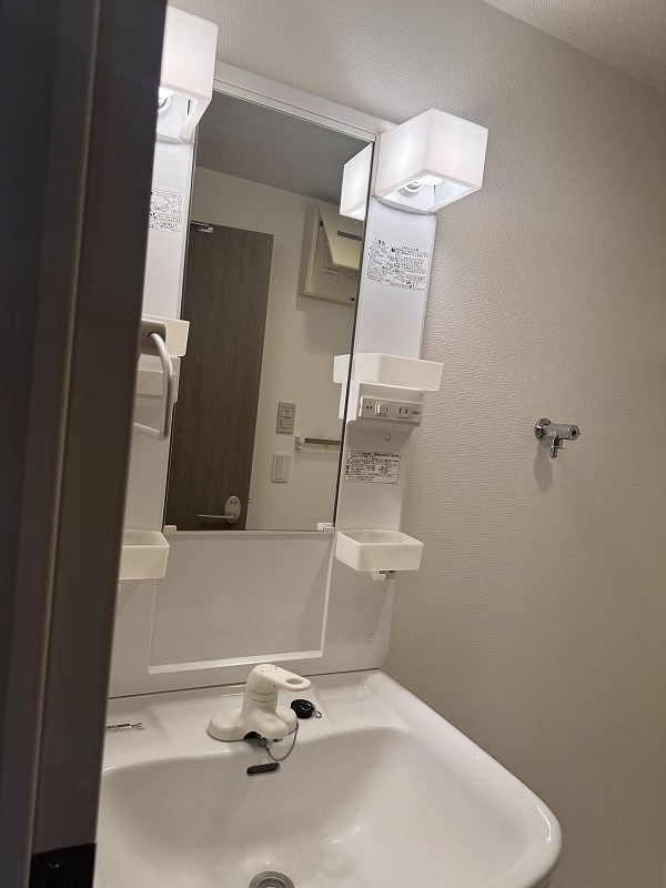 Ｄａｉｗａ　Ｔｅｒｒａｃｅ　府中3階 洗面