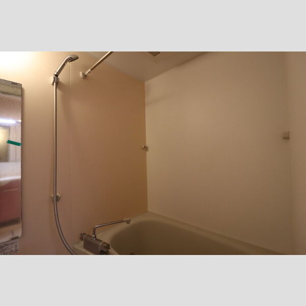 プランドール柴又301号室 浴室