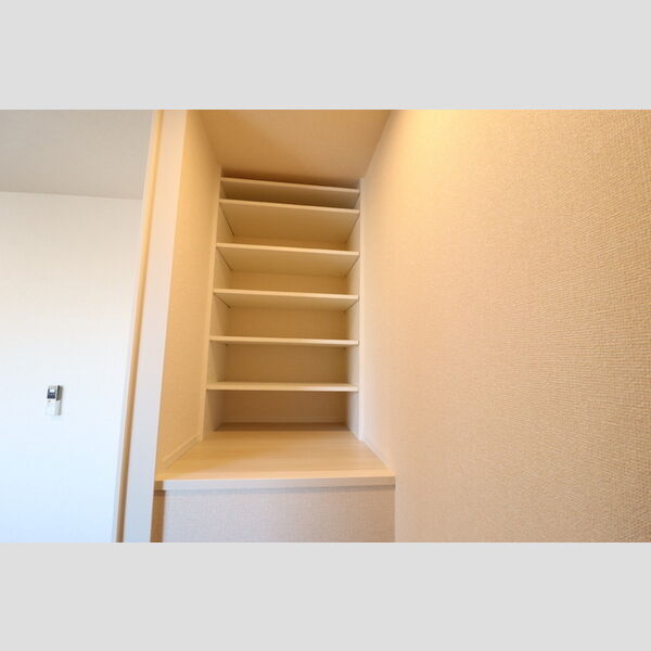 リッチモンブラン 階段上物入