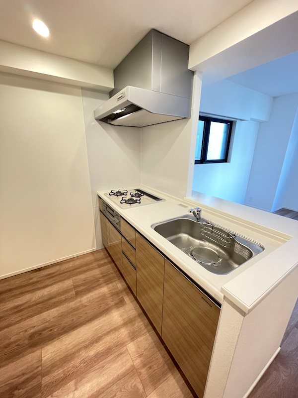 カージェ文京千石2階 キッチン