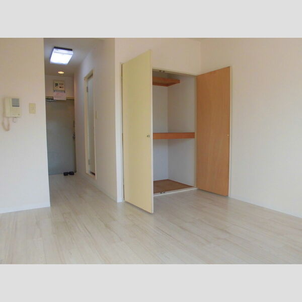 メゾン・ド・ドリーム横浜34号室 収納は天井まであります!