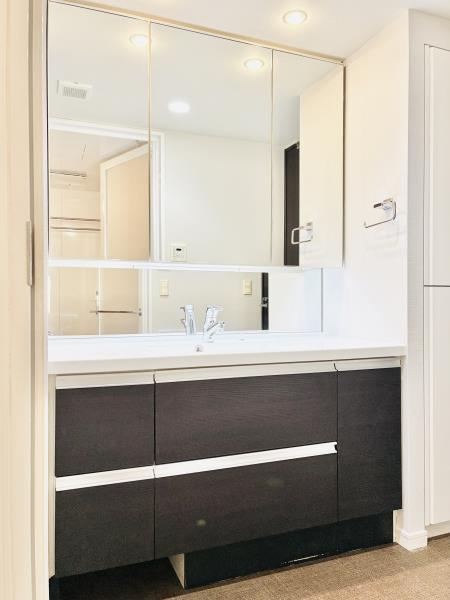 Ｂｒｉｌｌｉａ品川中延1階 洗面