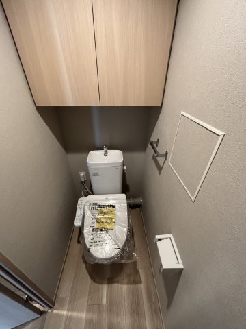 グランディアラフィーネ0702号室 トイレ