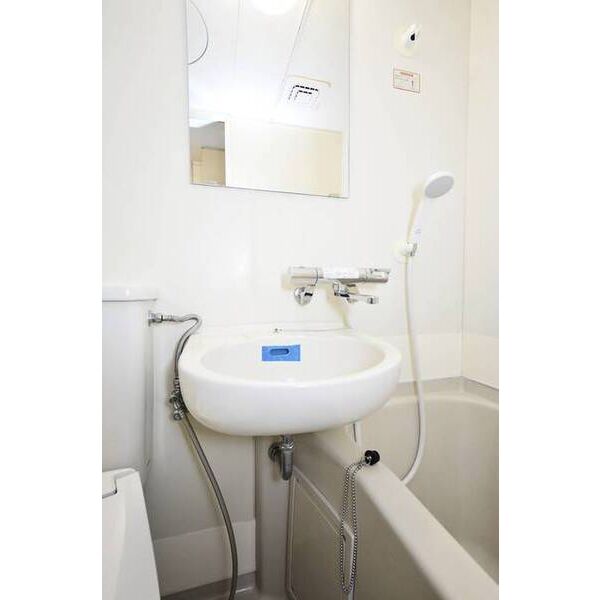 メゾン・ド・パナシェ0512号室 洗面