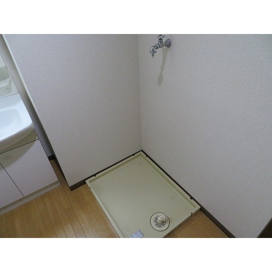 ロワジール0301号室 室内洗濯機置場