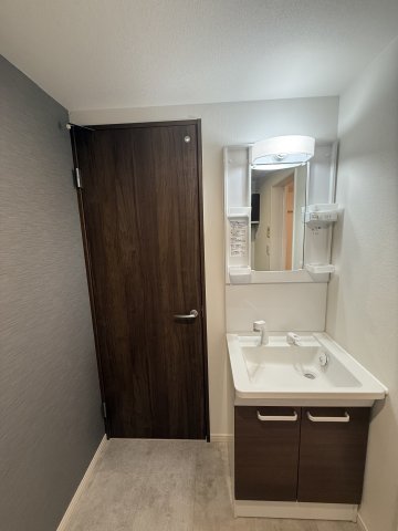 ベイルームアーバン海老名304号室 洗面