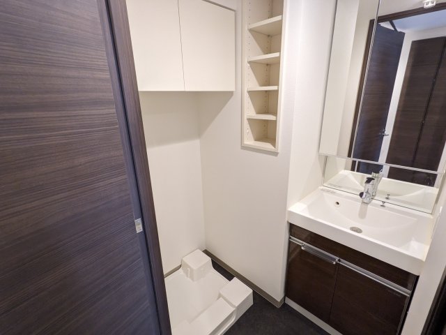 ケーディーエックスレジデンス豊洲419号室 洗面