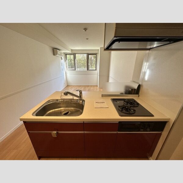 サンピタリア東船橋102号室 システムキッチン