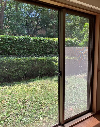 グローリオ杉並宮前1階 庭　別角度