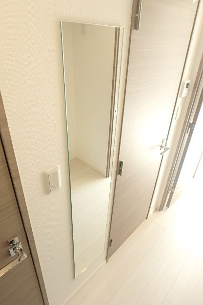 ガーラ・プレシャス川崎11階 物件の内装です