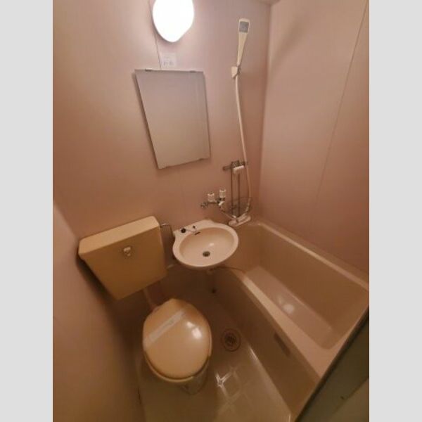 ティーラ伊勢原105号室 退去前につき、前回募集時のお写真です。