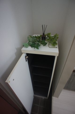 大野ハイツ0203号室 収納