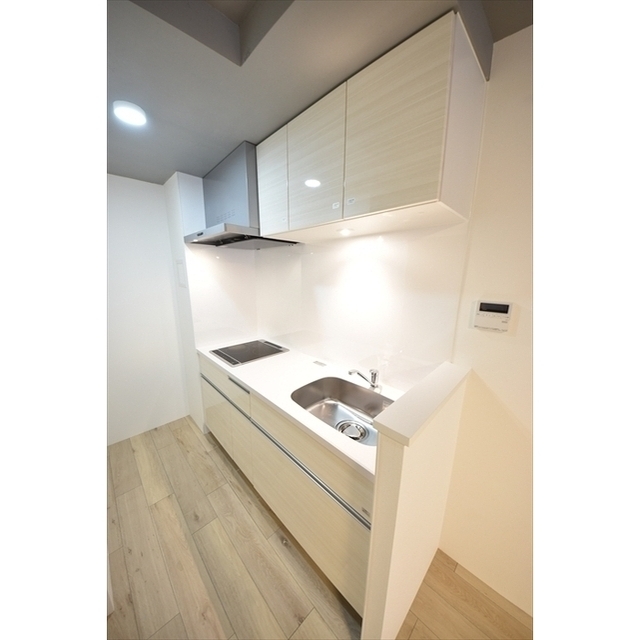 CASA PIAZZA 西日暮里0102号室 内観