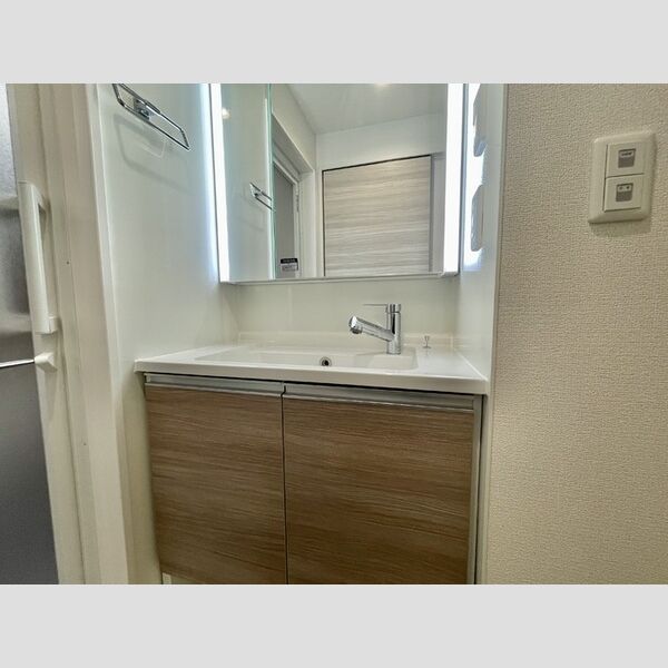 ディーシンシア202号室 洗面所