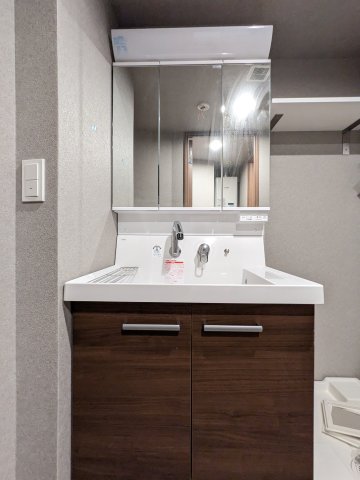 アルティザ上野毛0303号室 洗面