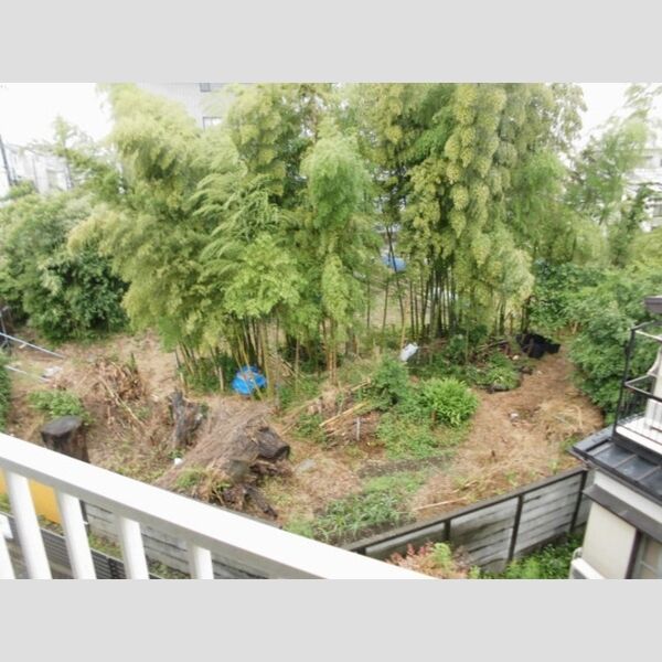 チャーリーズマンションⅡ 眺望