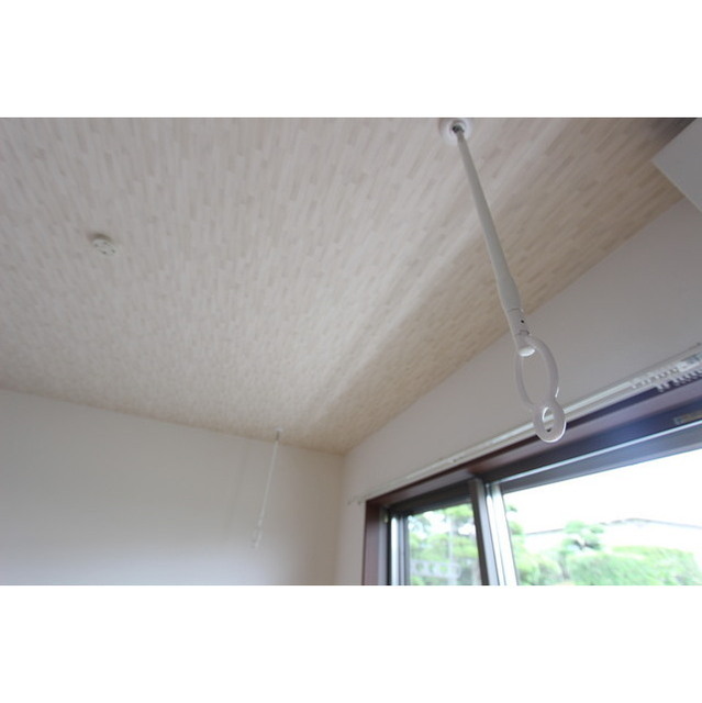 Ｂｌｕｅ ｇｒａｎｄｅ101号室 ホスクリーン