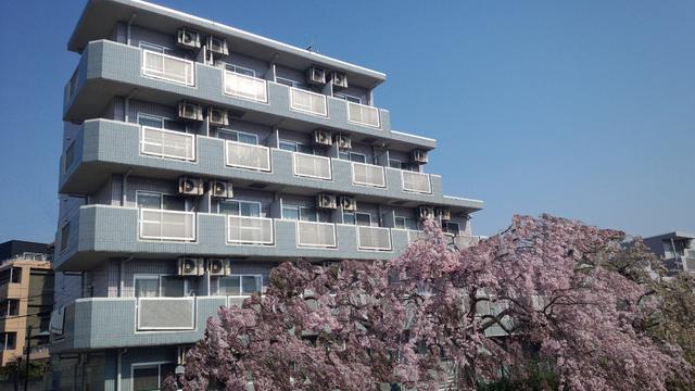 アムール祥 アムール祥 外観写真