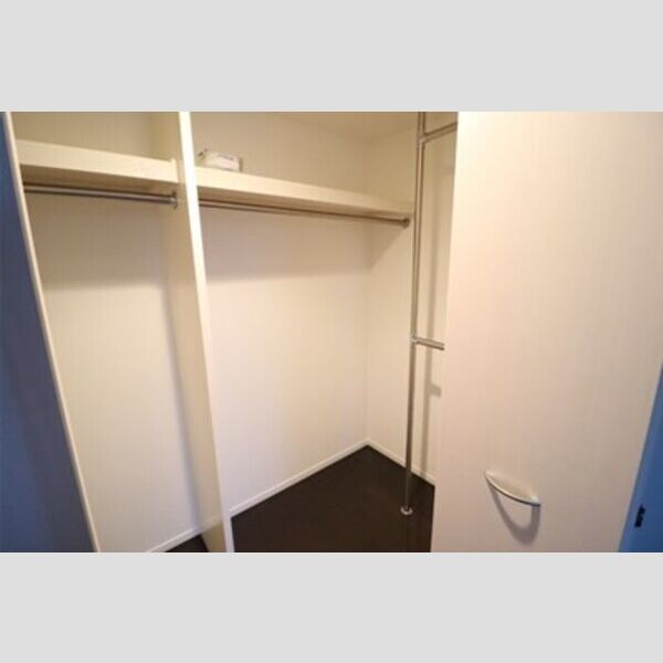 グリーンヒルズ903号室 ウォークインクローゼット