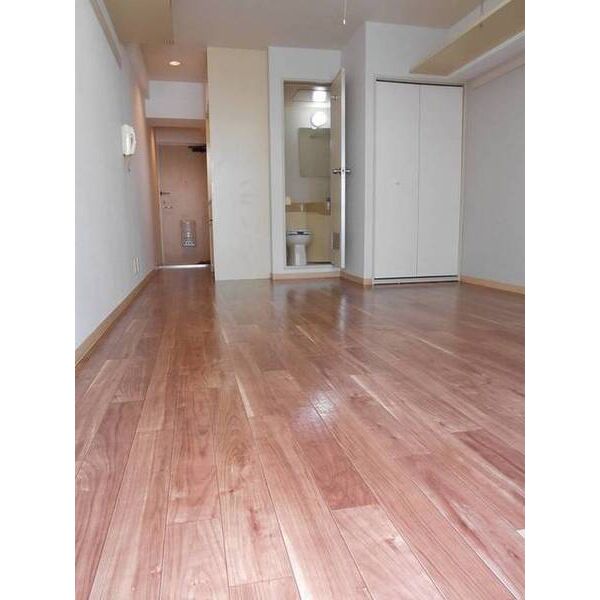 ライオンズマンション新富町第二 リビング