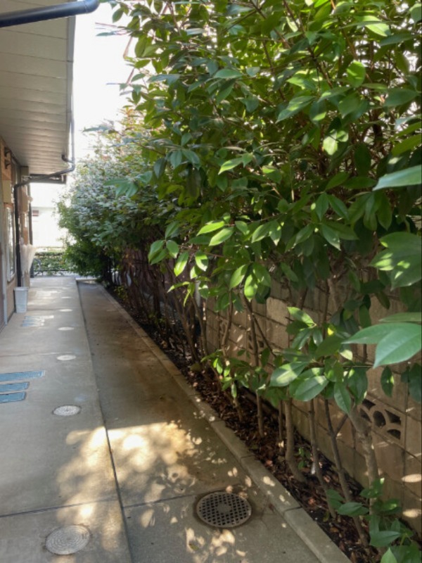 ラウンジ石神井台3階 1階共用部