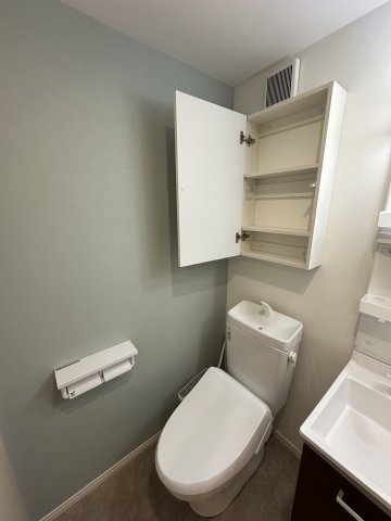 T&Fレジデンス南林間A101号室 トイレ