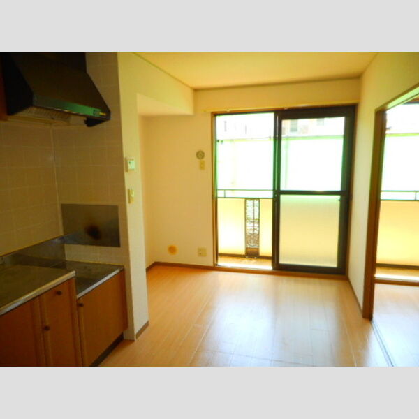 アベニュー102号室 DK