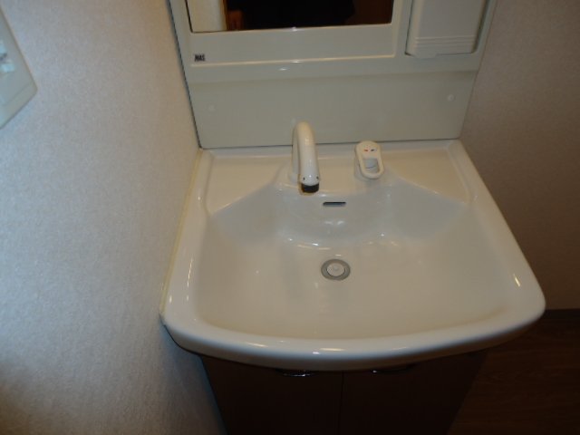 グレイスヴィラ湘南101号室 洗髪洗面化粧台