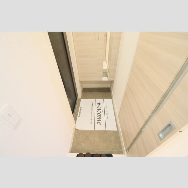 D Paina 中野島Ⅱ106号室 玄関