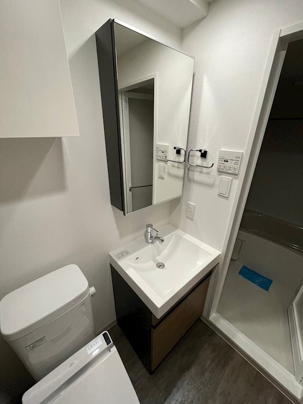 ジェノヴィア川崎Ⅲ2階 洗面