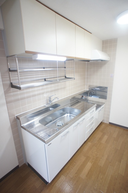 リビエール本郷0404号室 持込2口キッチン