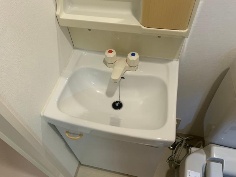 スパシエベレーザ綾瀬9階 洗面