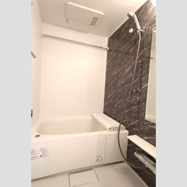 グラナーデ東葛西210号室 浴室