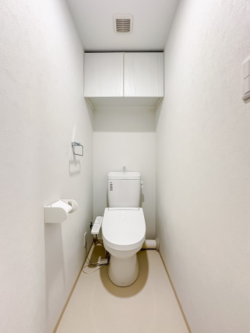 スカイコートリュクス品川大崎302号室 トイレ