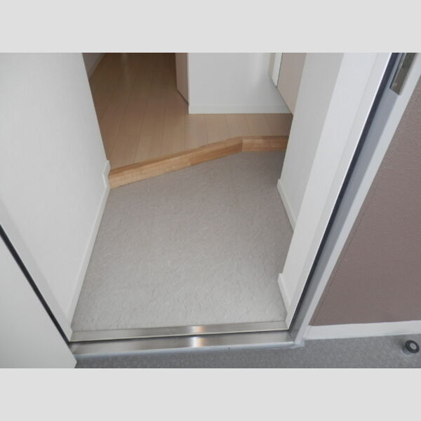 Plumeria501号室 玄関