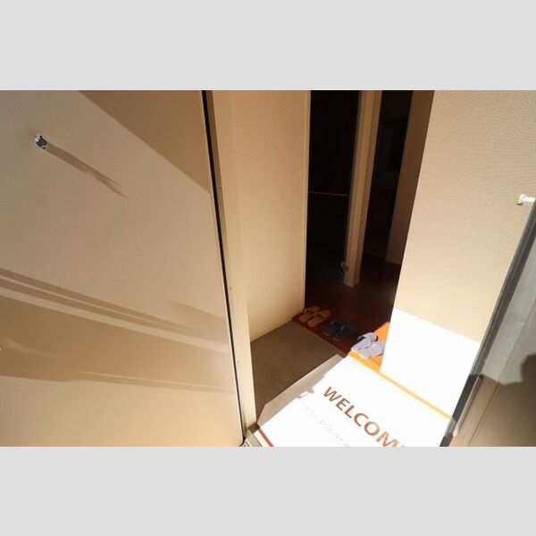 バリスサイト　F101号室 玄関　シューズボックスあり