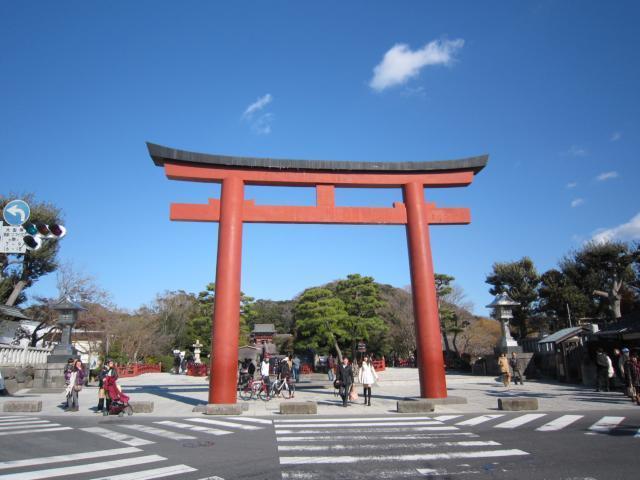 シャトー雪ノ下0103号室 【その他】鶴岡八幡宮まで346ｍ