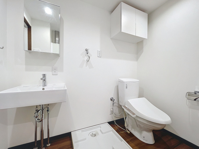 スカイラシクラス小岩301号室 洗面