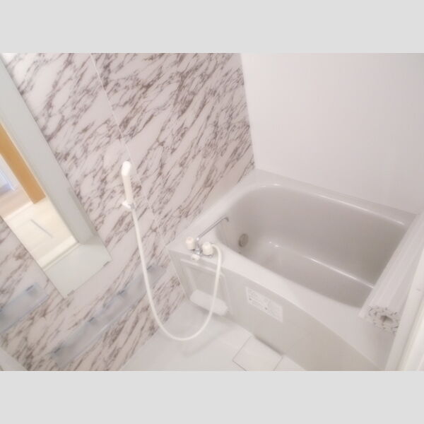 プルミエール柴崎203号室 バスルーム