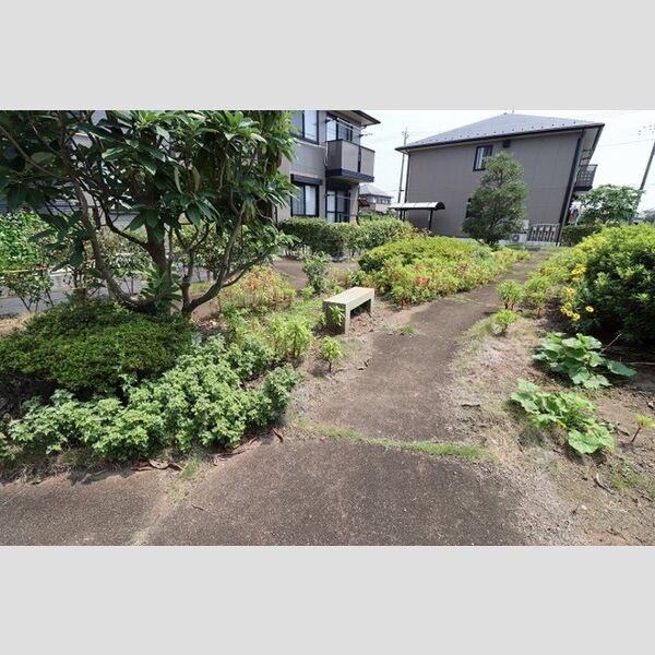 サンライズ　B コミュニティースペース